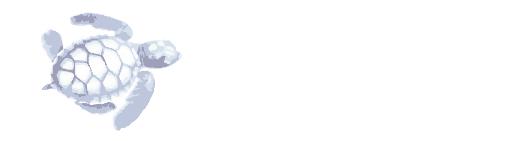 Vero Beach Marketing